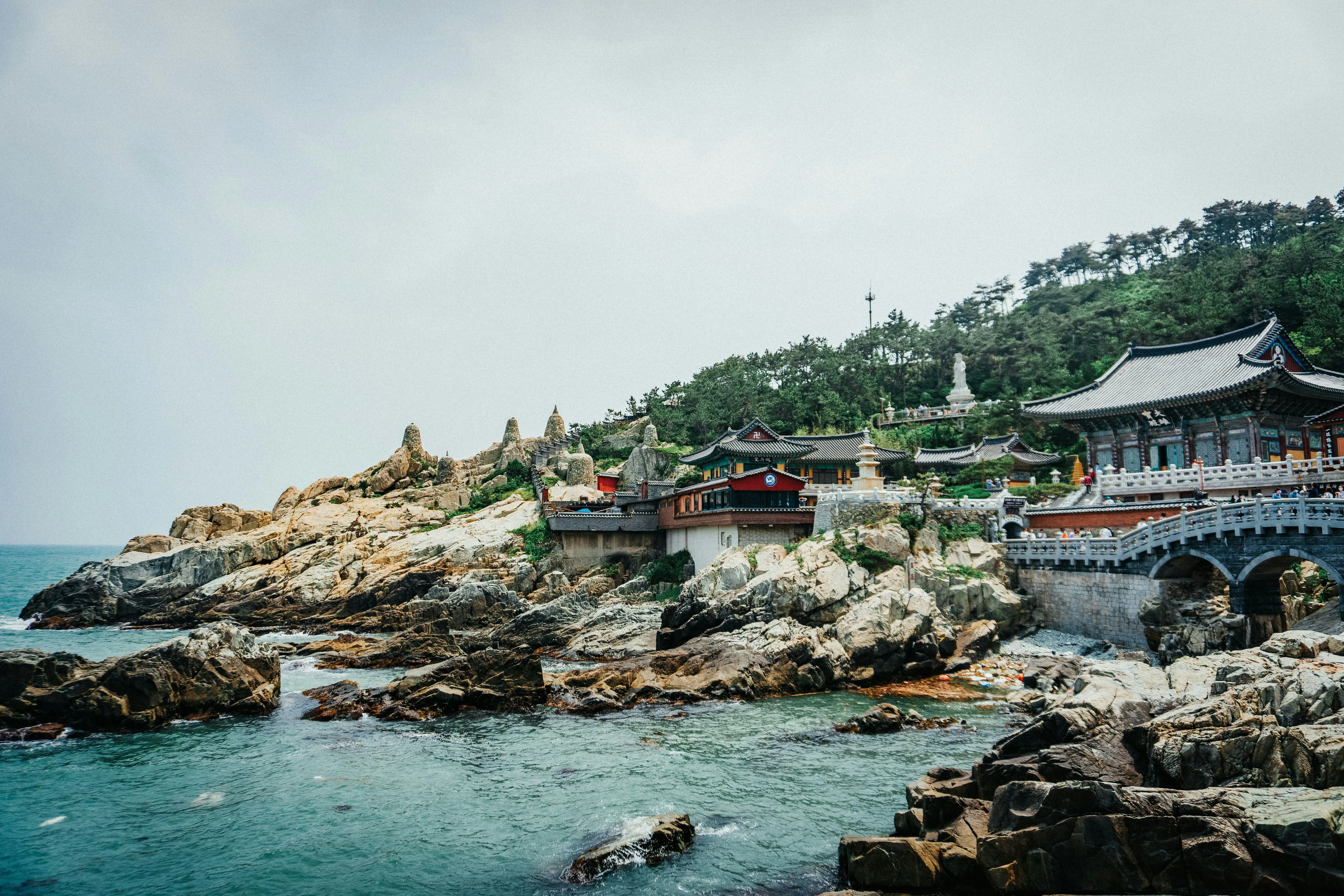 Busan Coastal Explorer with Cultural Highlights