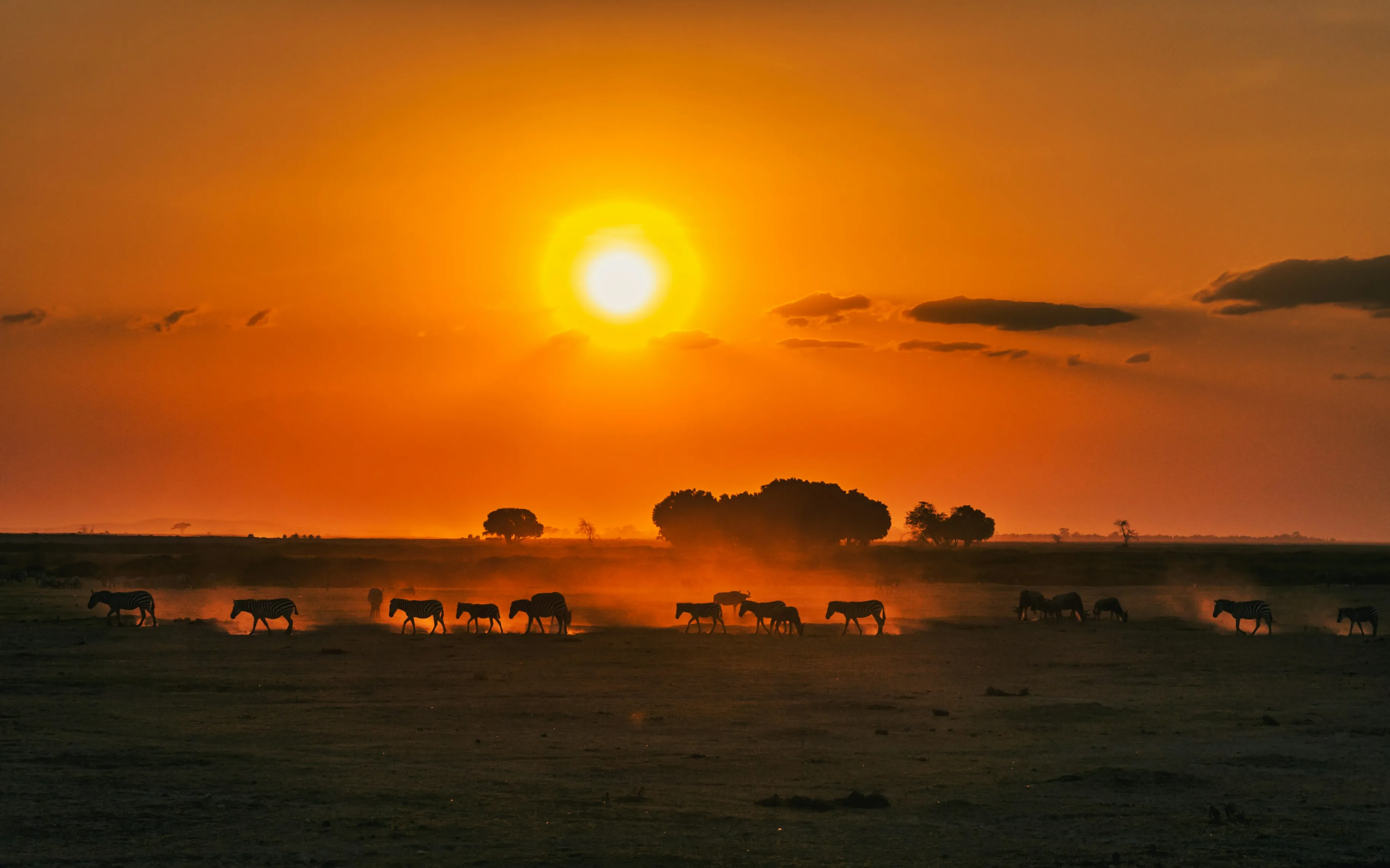 Kenya Tour Packages – Masai Mara Safari Experience