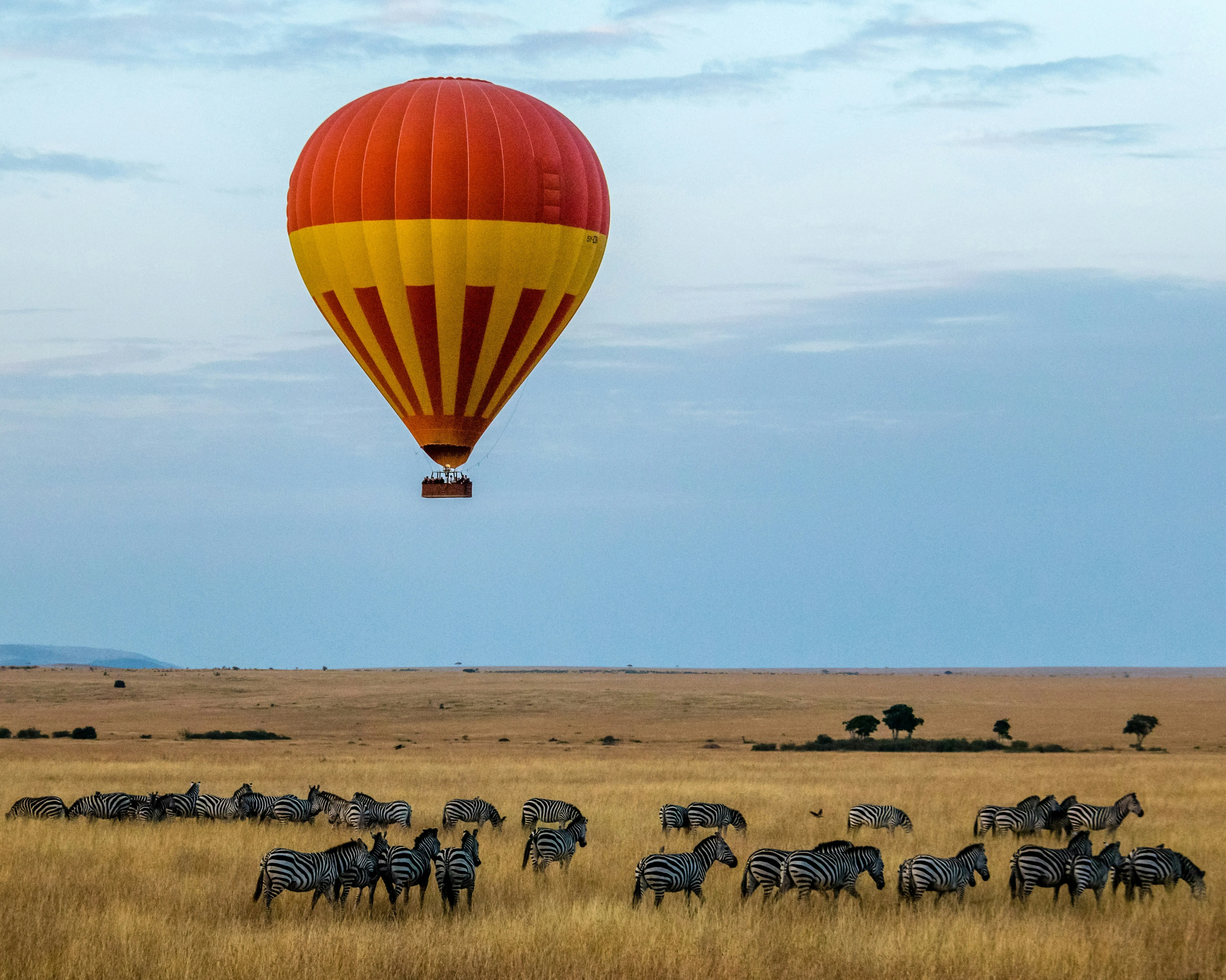 Kenya Tour Packages – Masai Mara Safari Experience