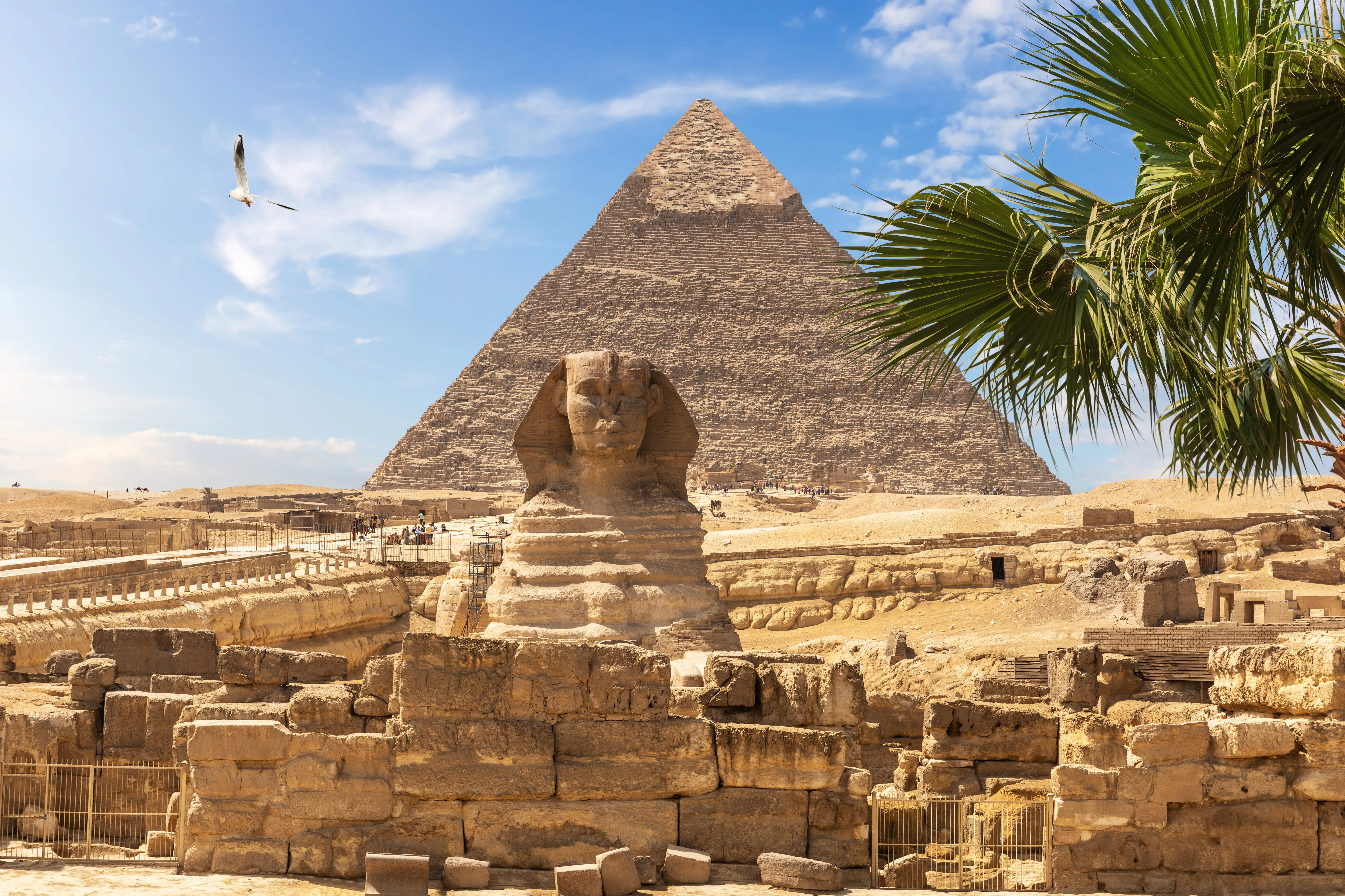 Best Egypt Tour Packages – Explore Cairo, Luxor & Nile Cruise