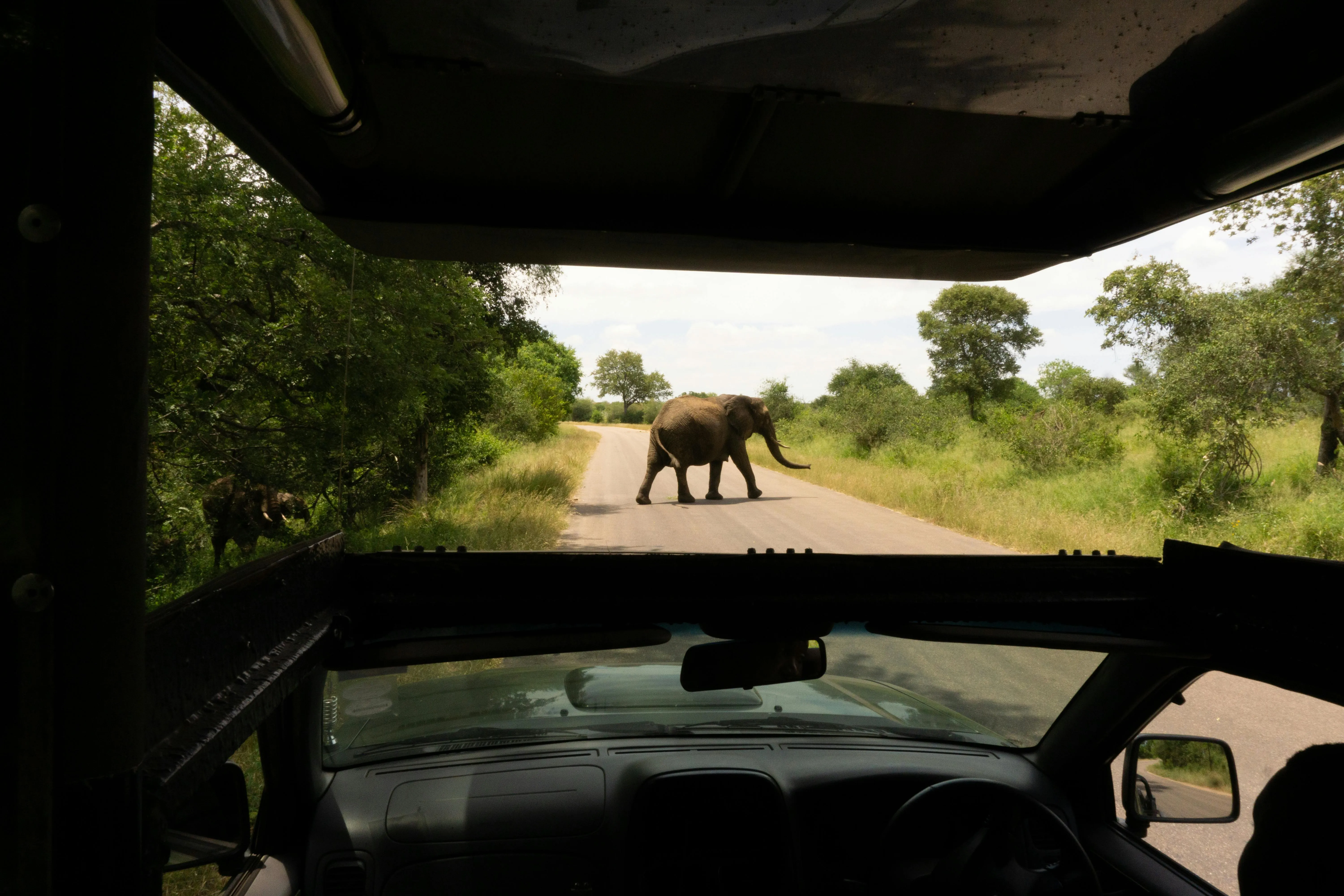 Cape Town, Kruger Safari & Victoria Falls Escape – 5 Days