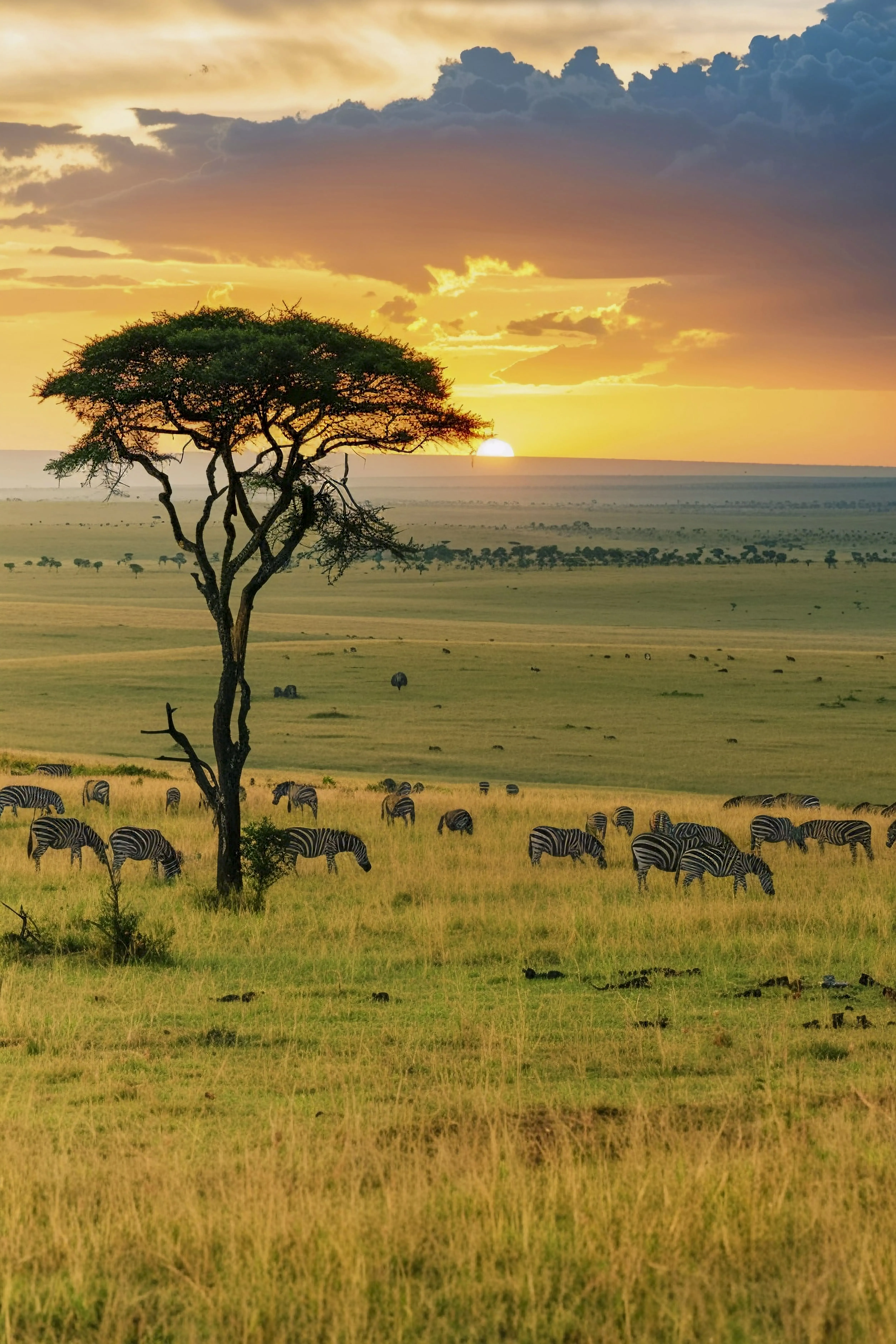 Best of Zimbabwe & Botswana Safari Escape 5N/6D