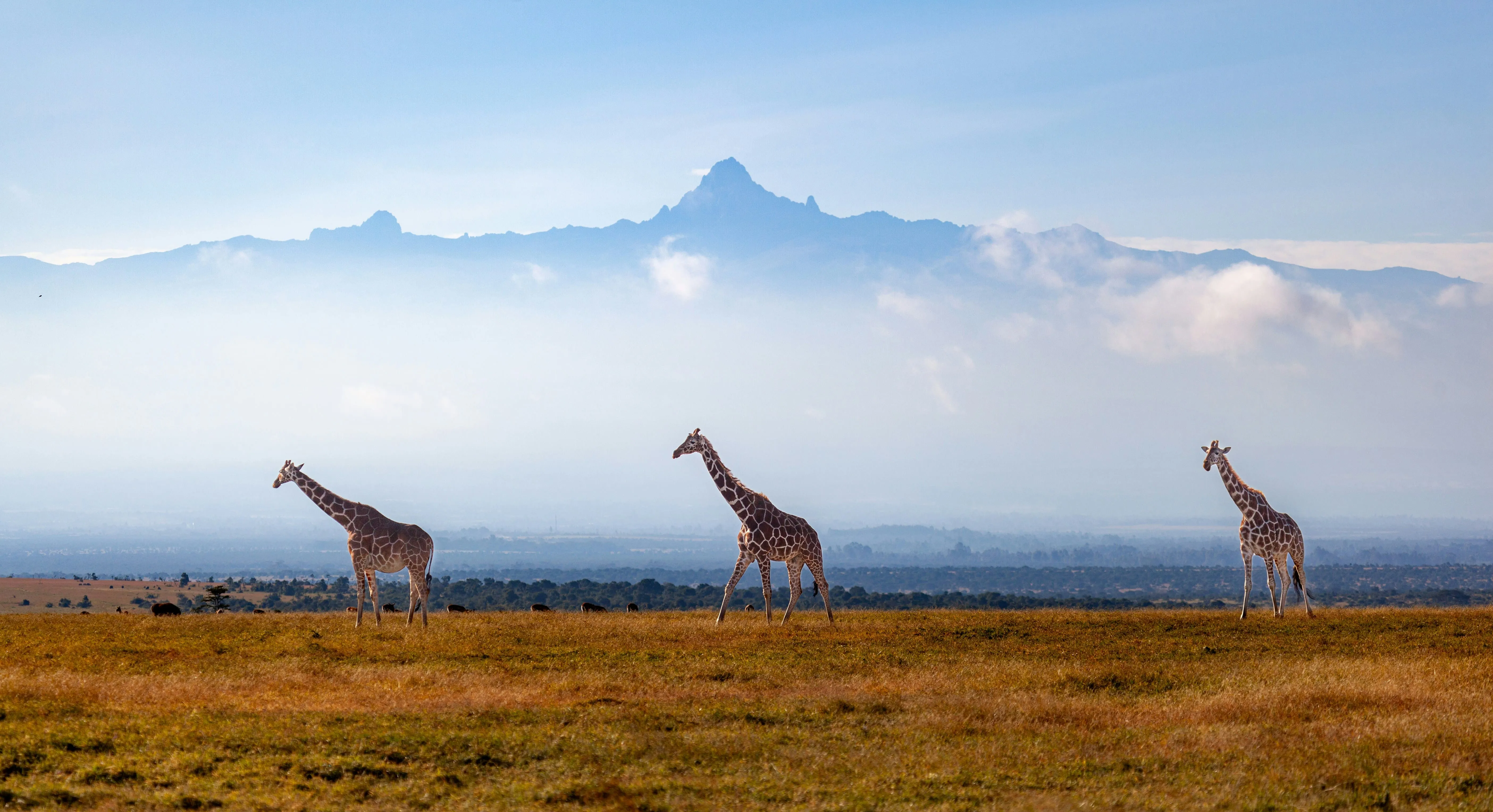 Elegant Escapes Kenya Safari – 9 Days