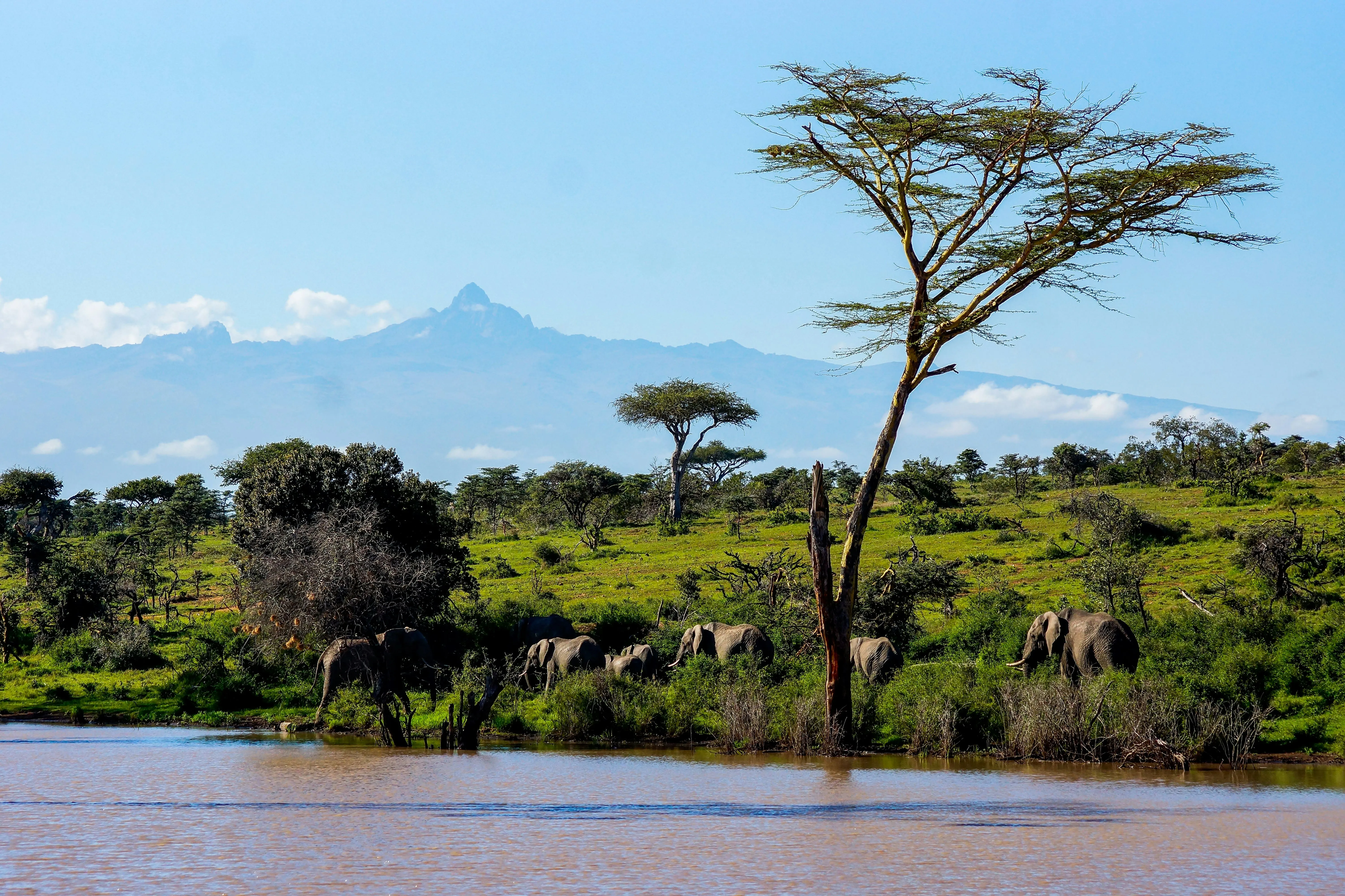 Elegant Escapes Kenya Safari – 9 Days