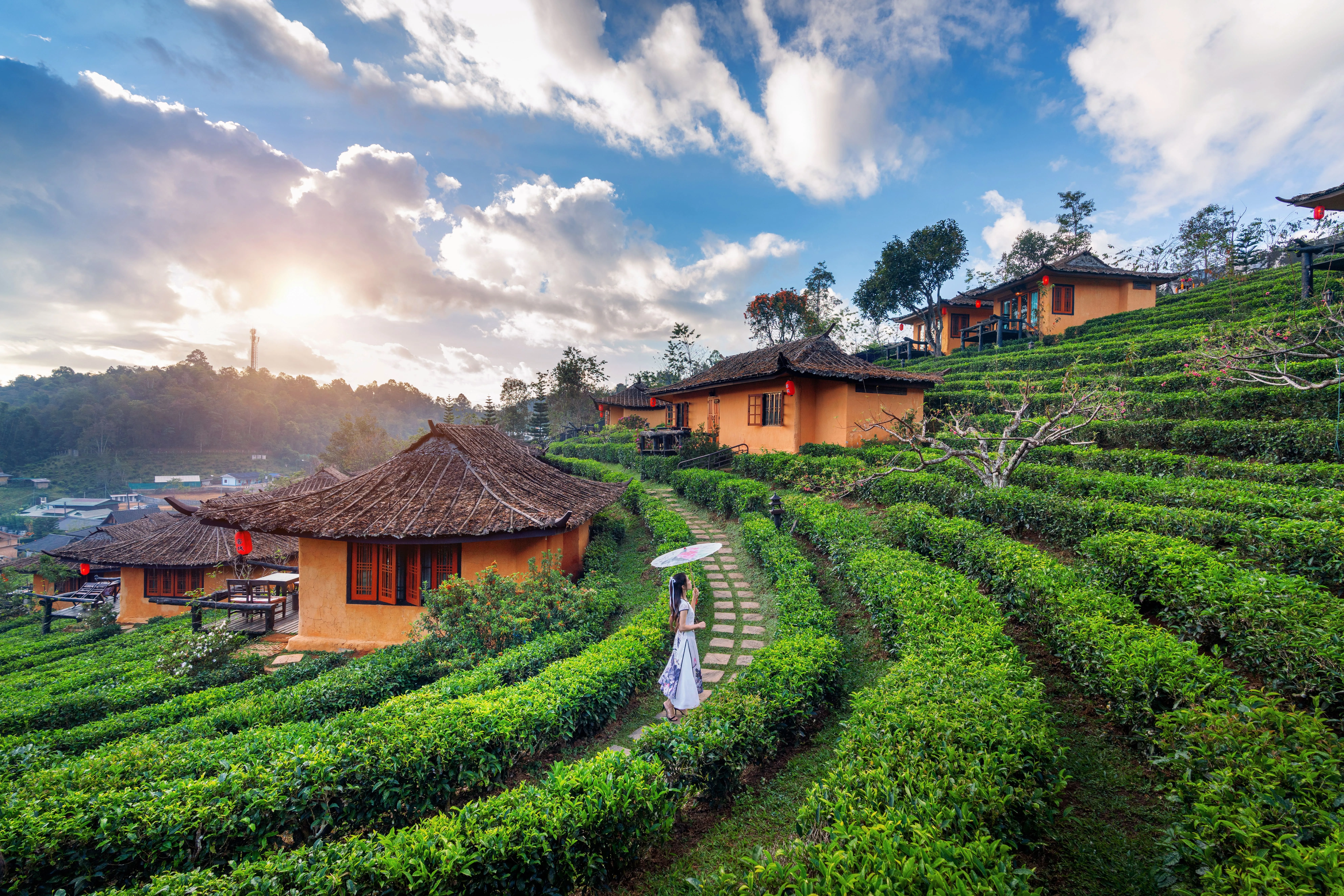 Kerala Backwaters Escape