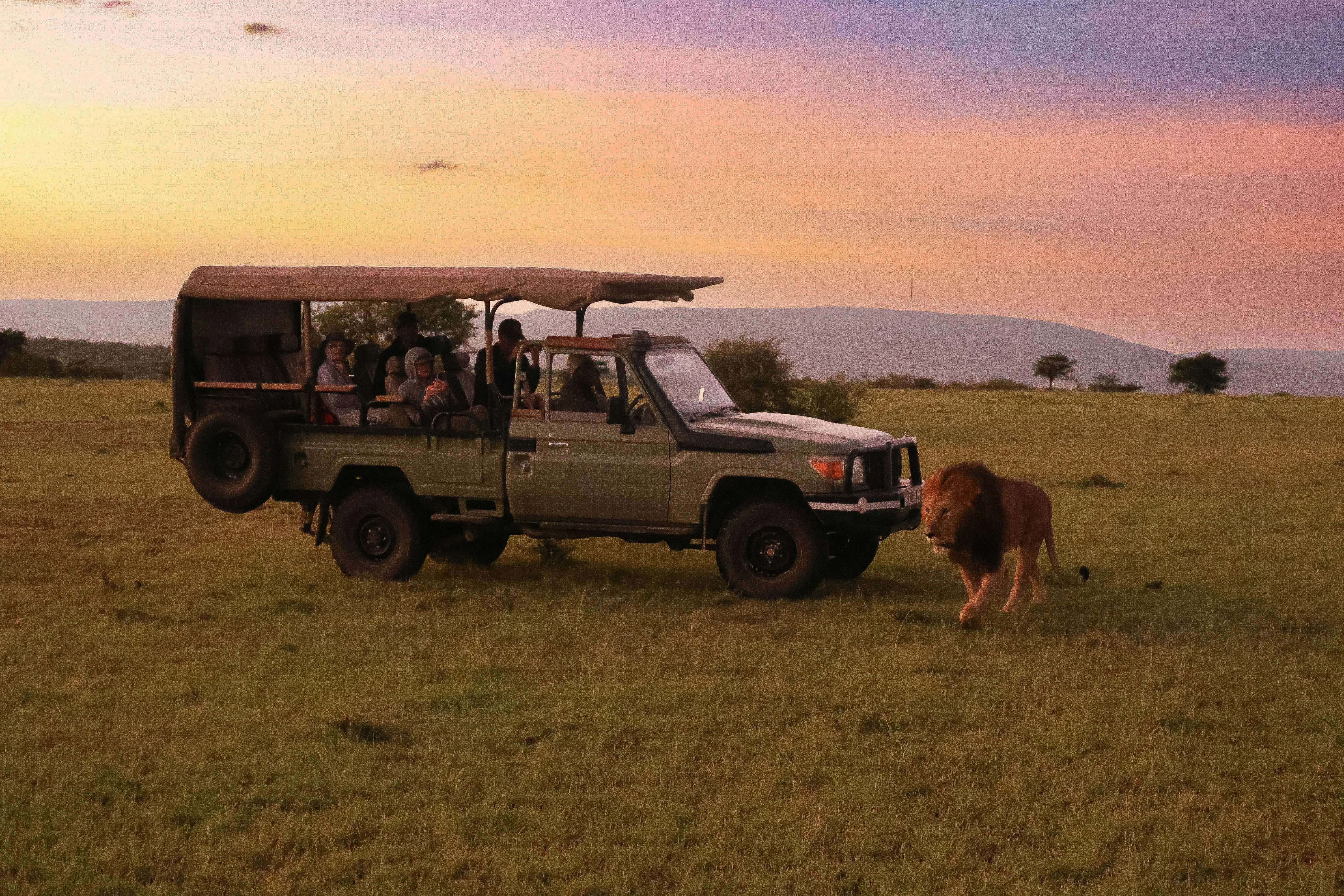 Kenya Wildlife Escape