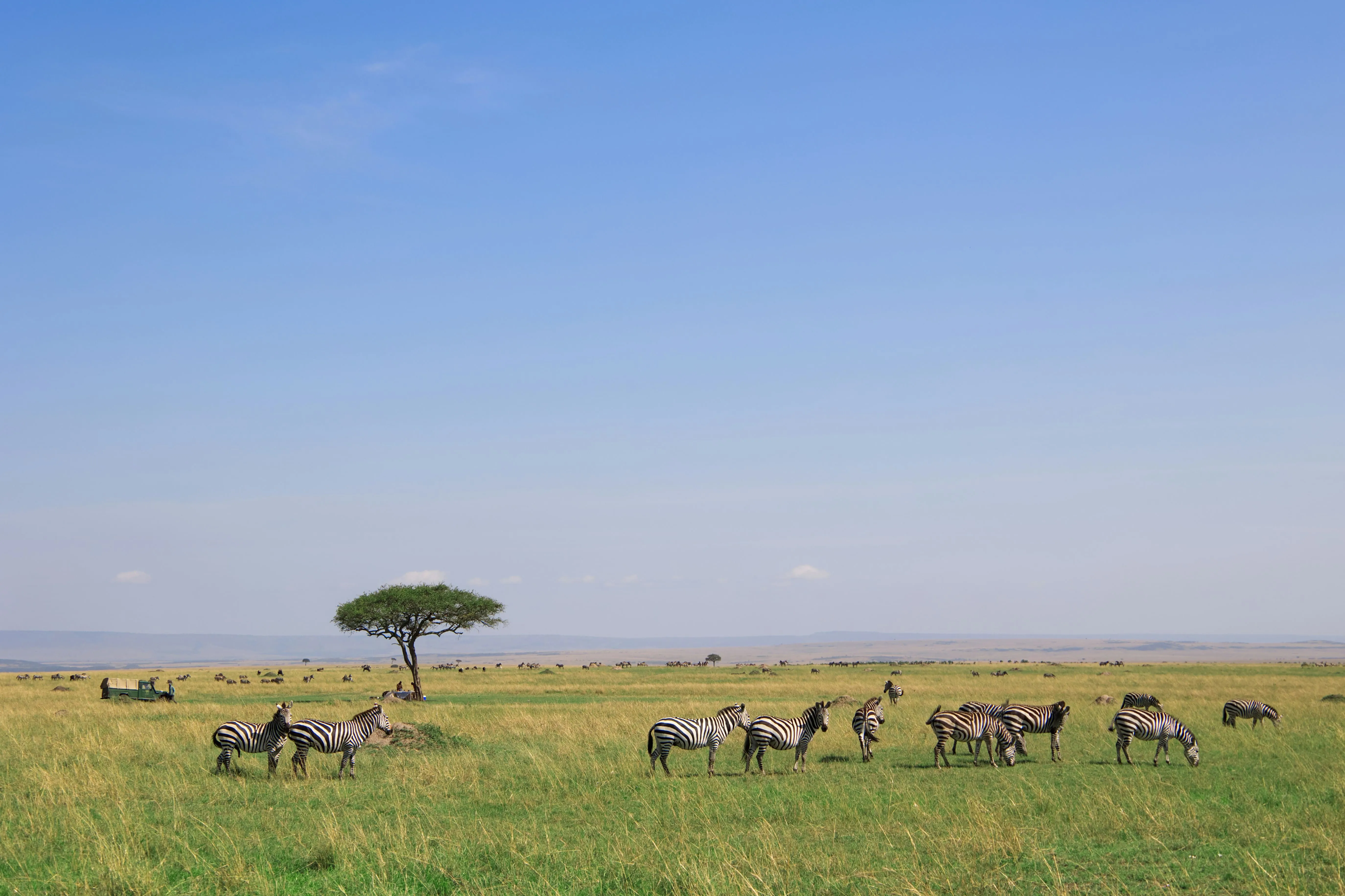 Kenya Wildlife Escape