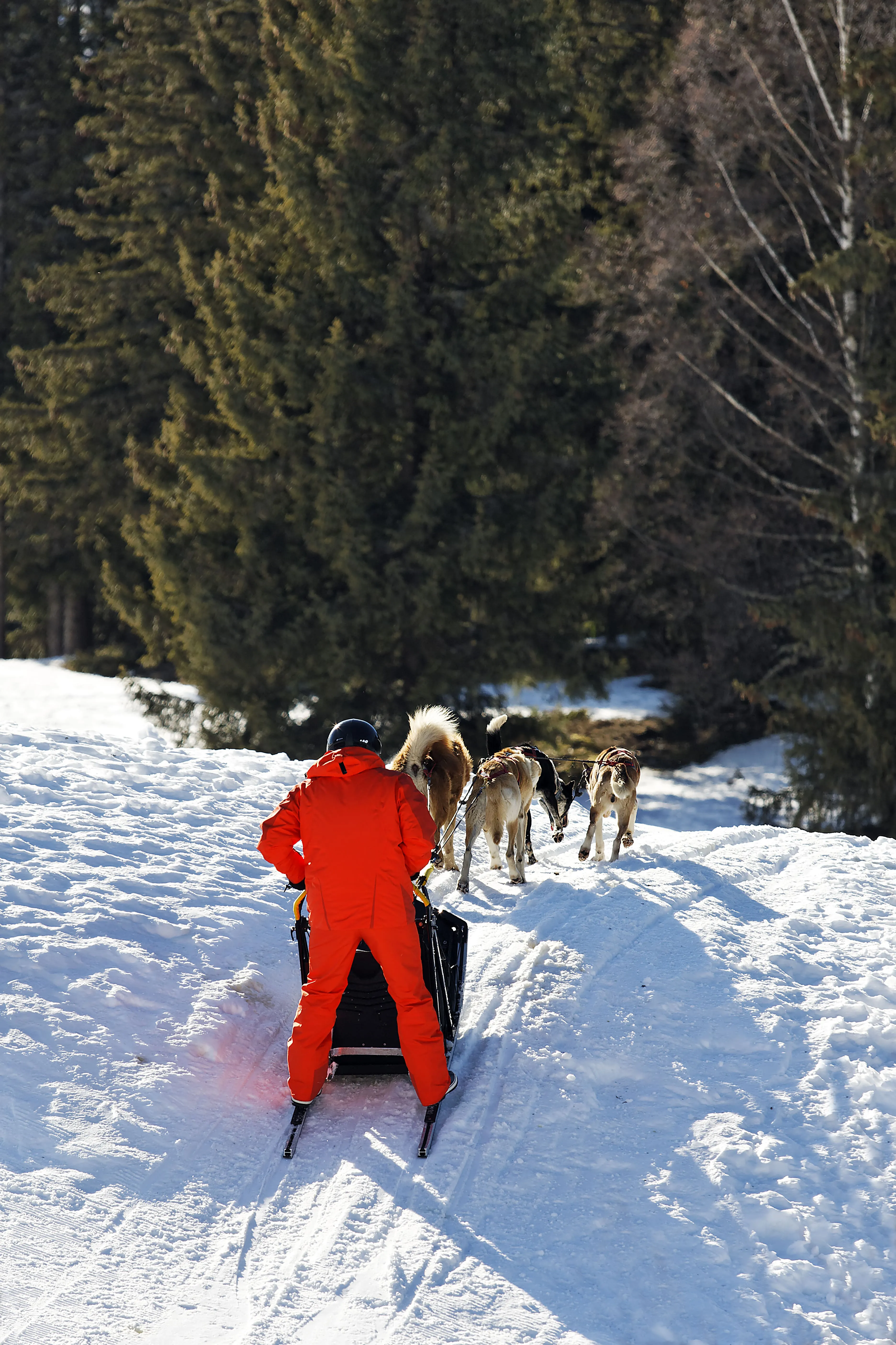 Finland Northern Lights & Lapland Adventure